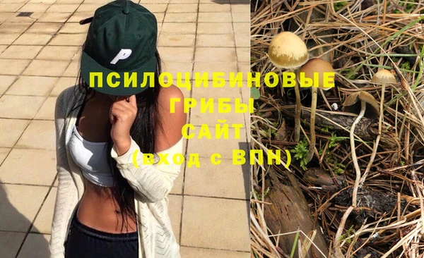 дживик Краснотурьинск