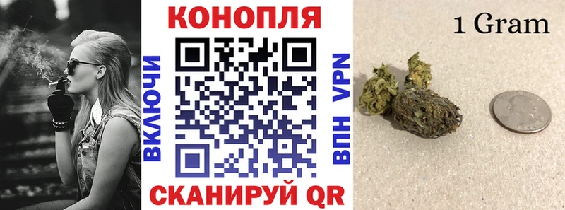 Купить  Краснодар  Каннабис сатива 